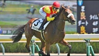 2歳新馬 芝1800m 左 外 エリカリーシャン 牝2 550 三浦 2023826 出走馬：ペッレグリーニ、マジマックサラン、リーチユアドリーム、ロードヴェスパー、ニシノジーク他 [upl. by Lin]