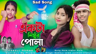 একটা নিষ্ঠুর পোলা Akta nistor Pula Singer Sadikul islam Junmoni khatun [upl. by Jat129]