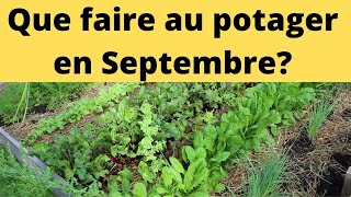 Que faire au potager en septembre au Nord de la France [upl. by Ahcorb]