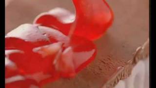 wall viennetta icecream quotsharingquot tvc [upl. by Nnyledam]