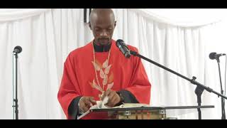 Message of the Cross Prophet S Msimang Doctrine Enlightenment Movement [upl. by Atteuqahc701]