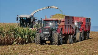 Ensilage de maïs 2020  partie 2 [upl. by Olia]