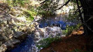 Spring Little Sturgeon River Meadowside Ontario Canada [upl. by Buckie914]