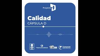 CALIDAD 🎙️ [upl. by Ludvig]