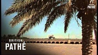 Ageless Iraq Reel 2 19501959 [upl. by Yanarp449]