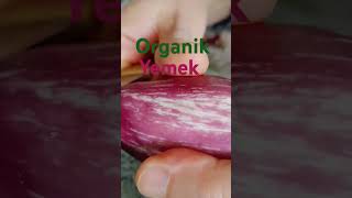 Patlıcan Yemeği 🍆organik yemek patlıcan domates biber soğan şirintasarım [upl. by Fifine172]