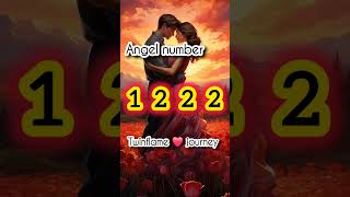 Angel number 🧚1222 meaning in Twinflame journey hindi twinflame angelnumber 1222 [upl. by Animlehliw]