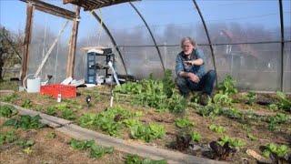 Le Potager du Paresseux  Est ce quil faut déjà semer  en pratique  partie 2 [upl. by Adina]