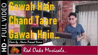 Chand Taare Gawah Hain  Damini  Cover M Navin Verma Kumar Sanu  Alka Yagnik Nadeem  Shravan [upl. by Enylekcaj]