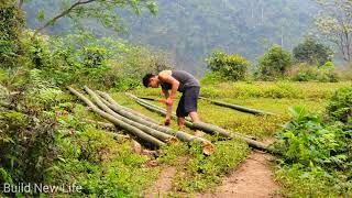 Video Full230 Days Gardening  Harvesting Huge Bamboo Shoot  make wooden doorsbuilding a new life [upl. by Nalla]