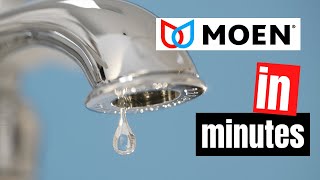 Stop a Dripping Single Handle Bathroom Faucet  Moen Washerless [upl. by Annelak973]