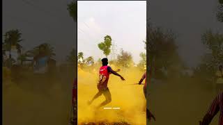 🐯New tiger skin bull  launch on field test  jallikattu videos pulisarai [upl. by Jaime]