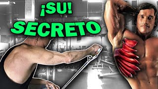 MIS EJERCICIOS SECRETOS PARA SERRATO AHORA SON TUYOS ¡FOREVER [upl. by Letsirc]