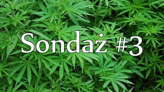 Sondaż 3  Medyczna marihuana A dlaczego [upl. by Ayardna]