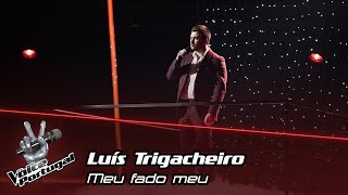 Luís Trigacheiro  quotMeu fado meuquot  Galas  The Voice Portugal [upl. by Camilia788]