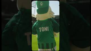 Der quotTach der Fansquot 2024  Aftermovie  SV Werder Bremen svw werder fußball [upl. by Donelle]