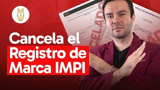 ¿Cómo cancelar un registro de marca IMPI ❌  Pixtor [upl. by Naud]