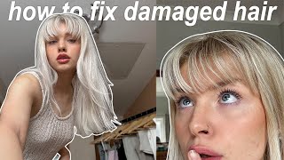 how to fix damaged hair and maintain platinum blonde [upl. by Abigale]