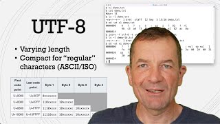 What are UTF8 and UTF16 Working with Unicode encodings [upl. by Etnauj193]