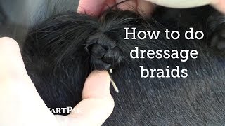 How to do dressage braids with Shannon Dueck [upl. by Orford]