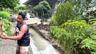 PAALAM SA AMING MUNTING PROBINSYA PAALAM PILIPINAS HANGGANG SA MULI BUHAY PROBINSYA PHILIPPINES [upl. by Aisenat587]