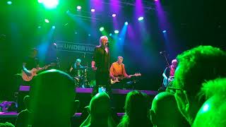 Wednesday Week  The Undertones  Electric Ballroom 51023 [upl. by Asek]