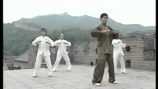 Qigong DA WU The great dance of qigong [upl. by Nahallac]