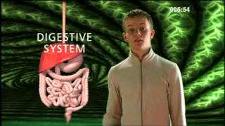 Cell Tissue Organ System Organism  BBC Curriculum Bites [upl. by Elspet]