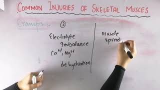 Cramps  Common injuries of skeletal muscle  Biomechanics of skeletal muscle [upl. by Trebliw]