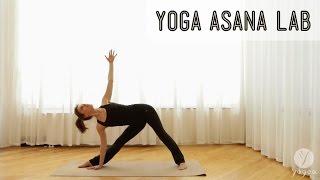 Yoga Asana Lab Externally rotated postures Warrior II Half Moon Right Angle Triangle [upl. by Kwapong]