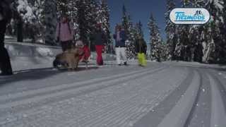 Video von Filzmoos  Skiurlaub in Österreich in Ski amadé [upl. by Aynor624]