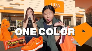 BUYING Everything in ONE COLOR for my SISTER NO BUDGET 😱 [upl. by Anahpets]