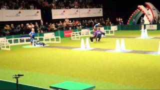 Flyball Final Crufts 2011 [upl. by Waylon]