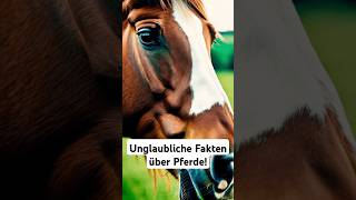 Unglaubliche Fakten Über Pferde facts fakten pferde horses tierwelt natur pferdeliebe [upl. by Previdi]