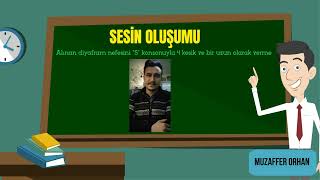 Müzik Dersi  Sesin Oluşumu Animasyonu [upl. by Adolf861]