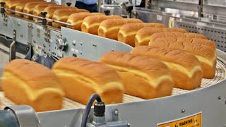 How Millions Of Bread are Made In A Huge Factory 🍞🏭 [upl. by Atiuqet]