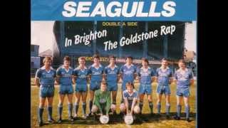 The SEAGULLS Brighton amp Hove Albion  Goldstone Rap  1982 [upl. by Aenil]