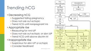 Learn OBGYN Ectopic Pregnancy [upl. by Doroteya]