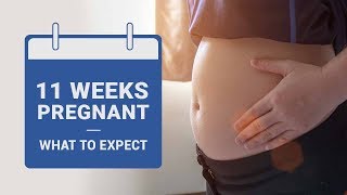 11 Weeks Pregnant What to Expect [upl. by Eudo]