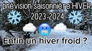 Le retour du FROID et la NEIGE  Prévisions saisonnière HIVER 20232024 [upl. by Ecniuq764]