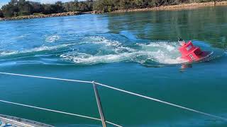 Fast Forward to Queensland Lauriton to Port Macquarie 03 June 2024 [upl. by Nerrot904]