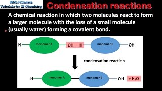 B1 Hydrolysis and condensation reactions SL [upl. by Eelrak59]