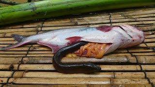 Wow Unbelievable Eel In Big Fish  Cooking Eels in Banana Tree For Lunch [upl. by Juley]