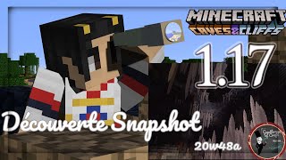 Minecraft Java Edition 1 17 snapshot 20w48a je découvre stalactites et stalagmites avec vous [upl. by Formenti]