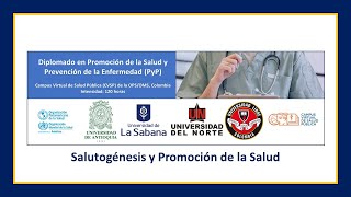 Salutogénesis y Promoción de la Salud [upl. by Latsyrhc135]