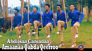 Abdiisaa Camadaa  Amaanaa Qabda Qeerroo  New Ethiopian music 2021 [upl. by Kolosick]