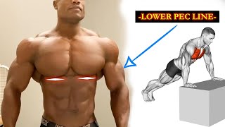 5 Best Lower Chest Workout  Build Your Lower Chest Line [upl. by Zinah]