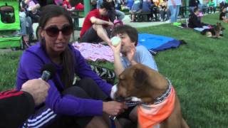 Lakewood BlueClaws Bark at the Park [upl. by Richmond]