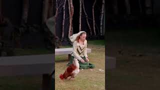 Never work with animals… brownseaopenairtheatre thetwogentlemenofverona theonewiththedogin [upl. by Aremus]