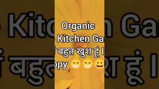 My Terrace Kitchen Garden Update vegetablesplants shorst videoviral [upl. by Aber]